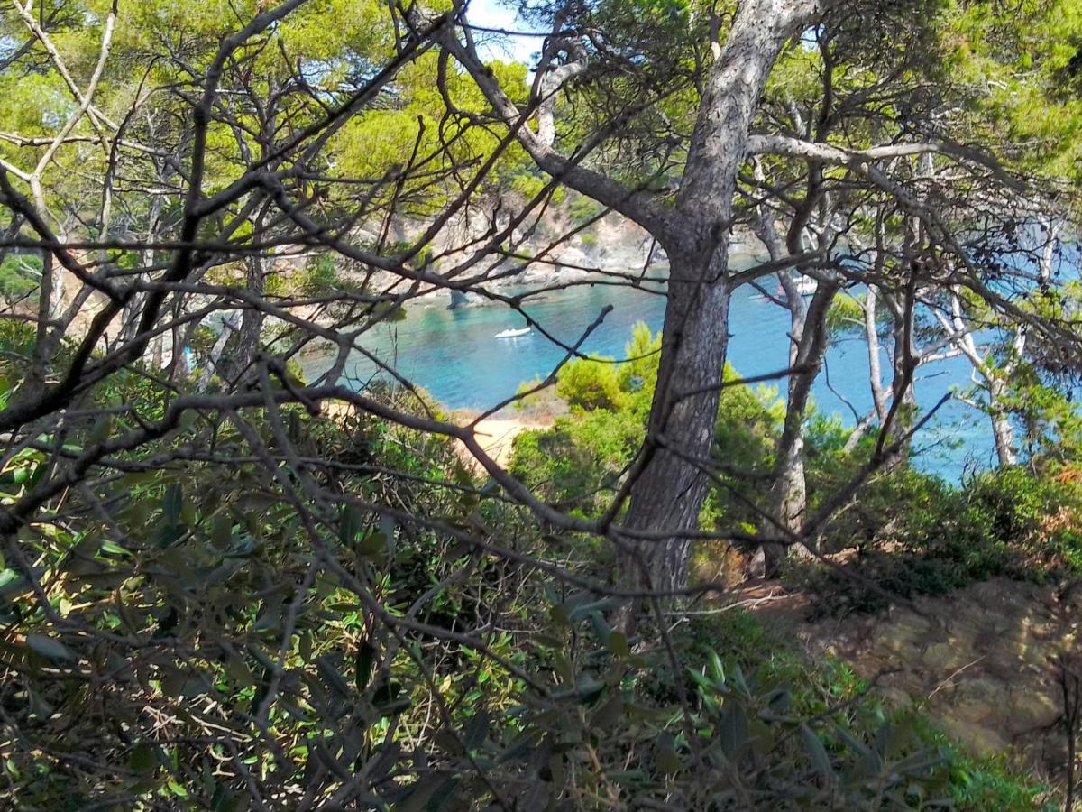 Typical 50m Beaches