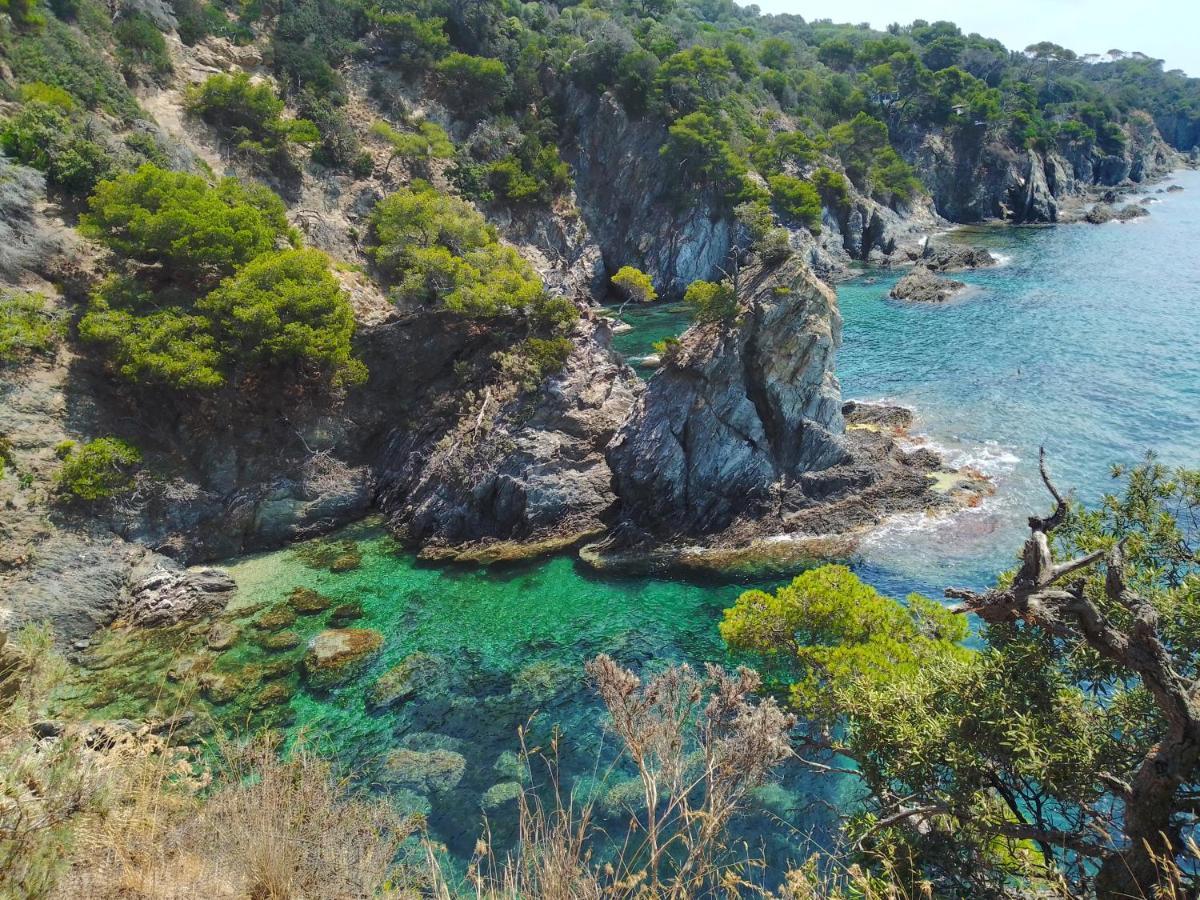 Typical 50m Beaches Appartement *
