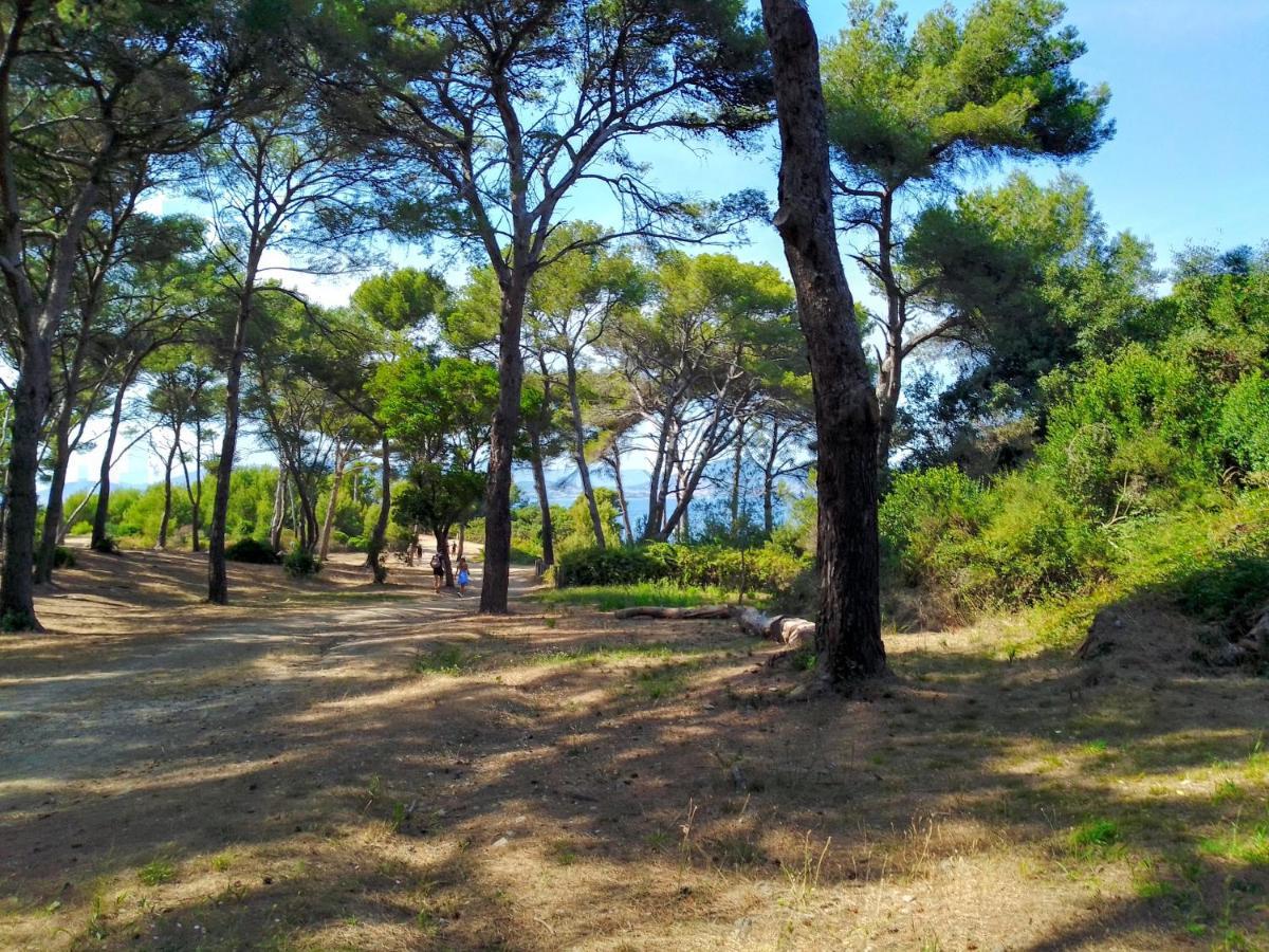 Typical 50m Beaches Appartement Toulon