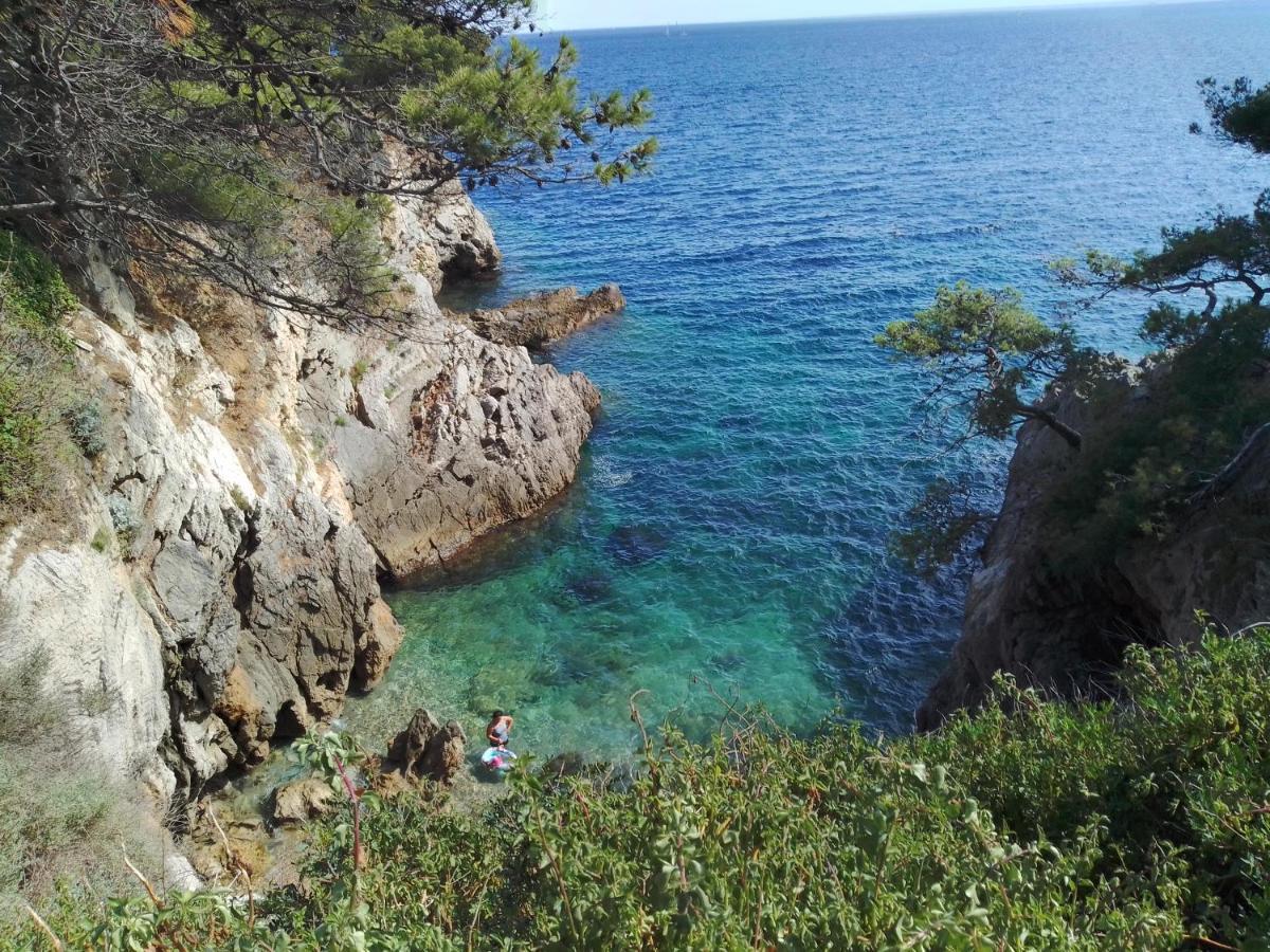 Typical 50m Beaches